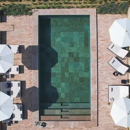 Vocabolo Moscatelli *